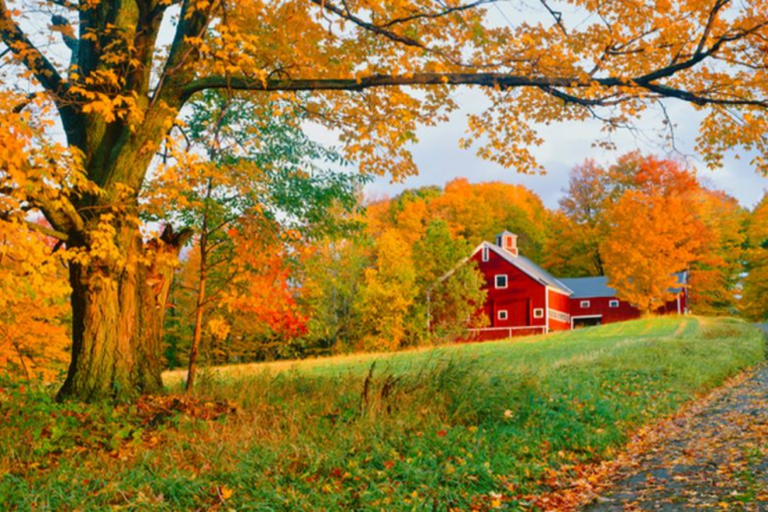 Top 10 October Quotes to Welcome the Beauty of Autumn